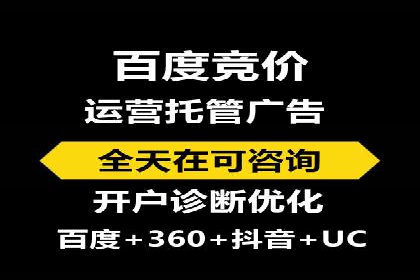 百度竞价价格解析，成功案例分享